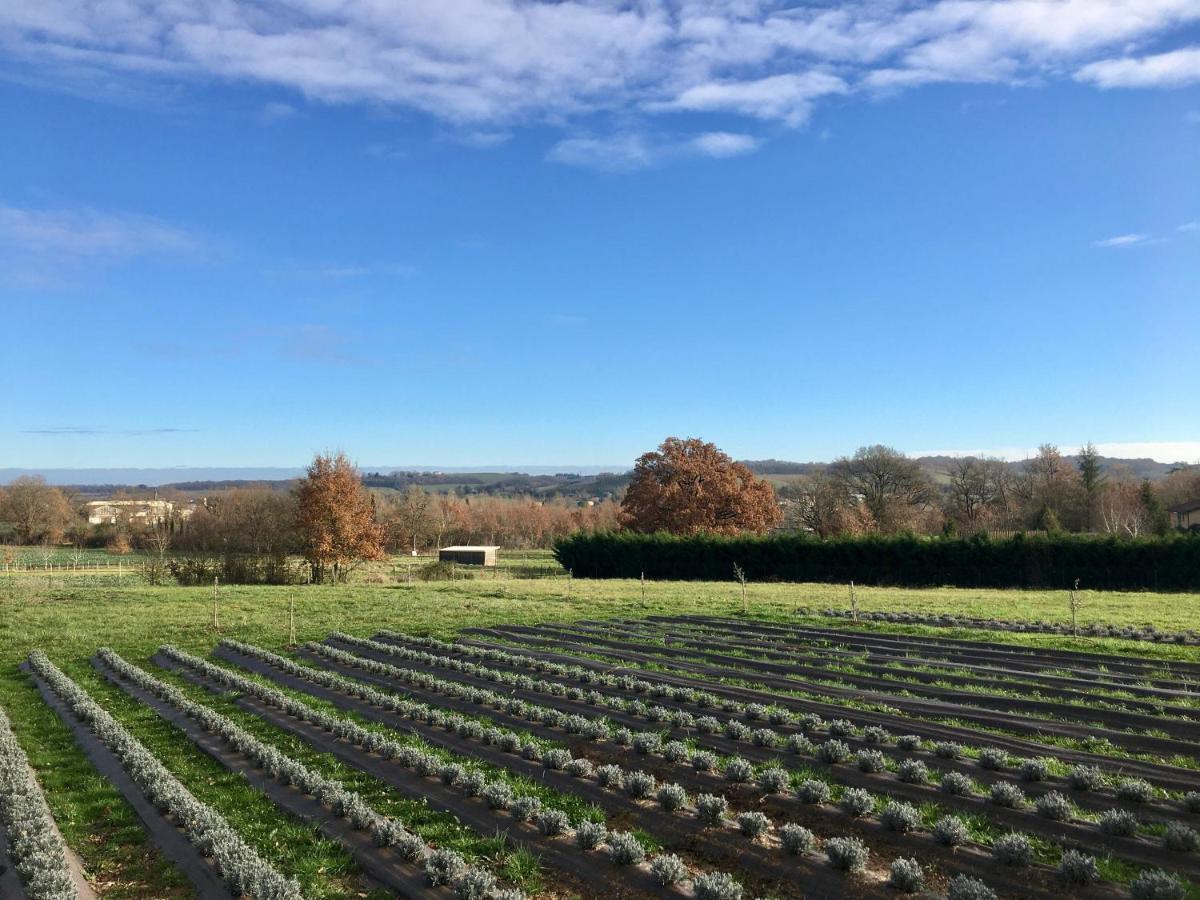 Domaine D'Elusa فيك-فيزينساك المظهر الخارجي الصورة