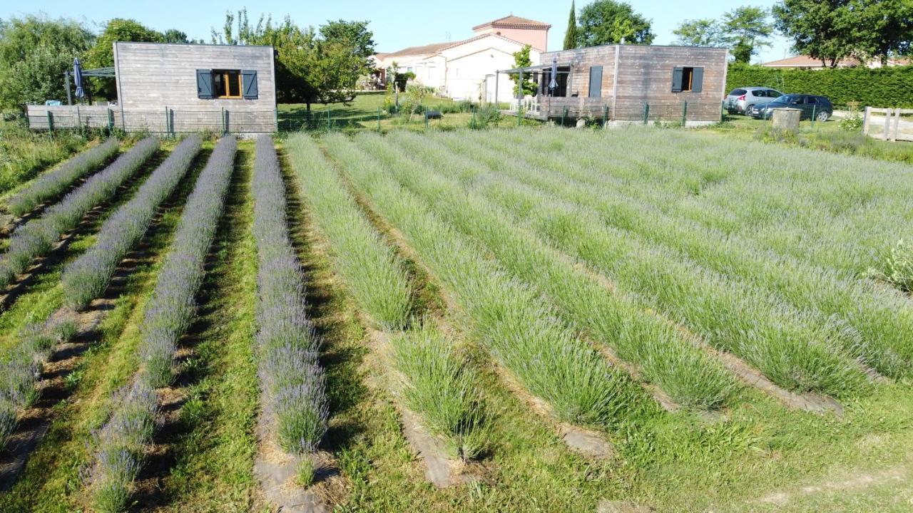 Domaine D'Elusa فيك-فيزينساك المظهر الخارجي الصورة