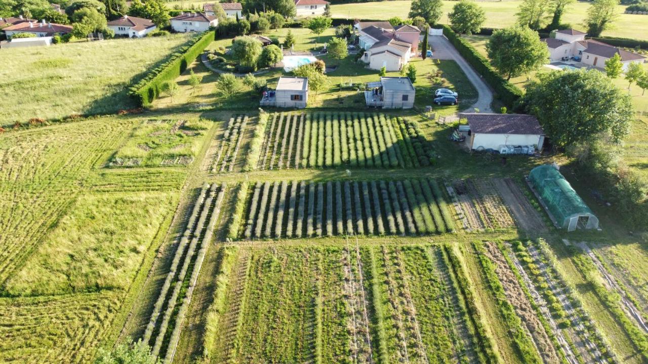 Domaine D'Elusa فيك-فيزينساك المظهر الخارجي الصورة